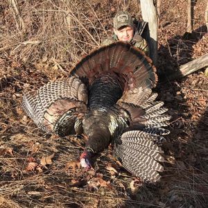 Meet your Posher, Austin